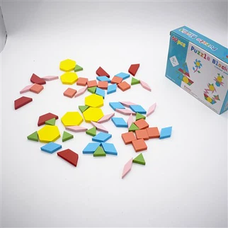 Wooden Geometric Shape Puzzles